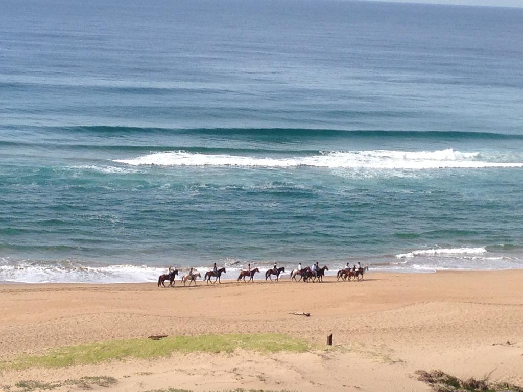 Seaview Apartment Amanzimtoti Oda fotoğraf